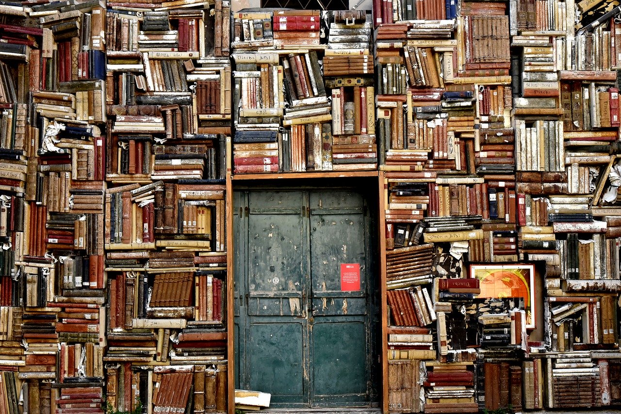Domowa biblioteczka – jak ją urządzić, by czytanie było jeszcze przyjemniejsze?